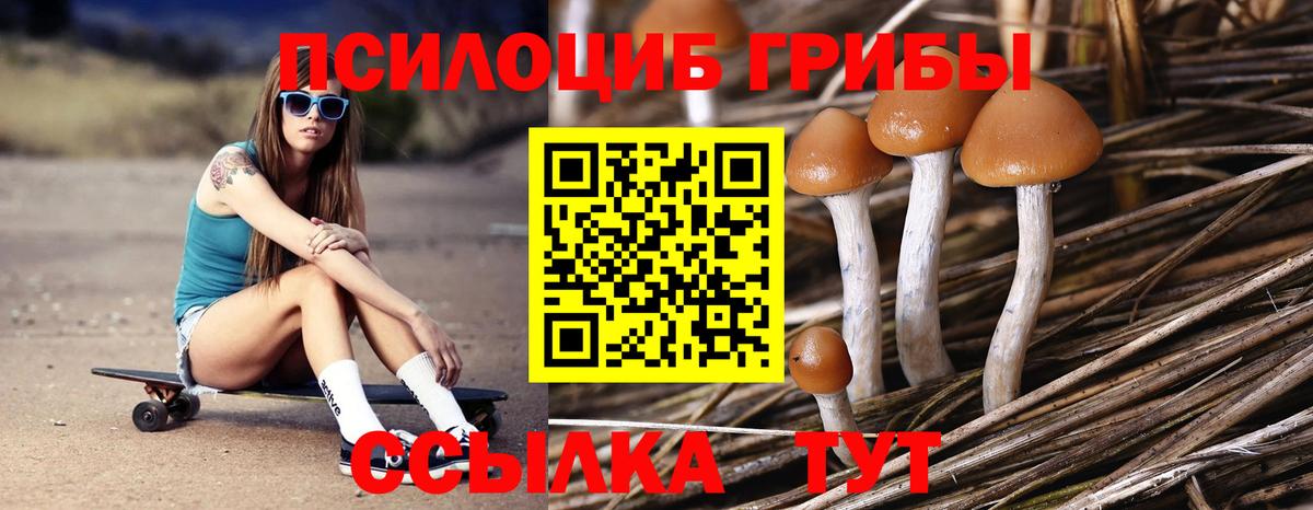 Галлюциногенные грибы мухоморы  Галлюциногенные грибы GOLDEN TEACHER  Вход с VPN  Миасс 
